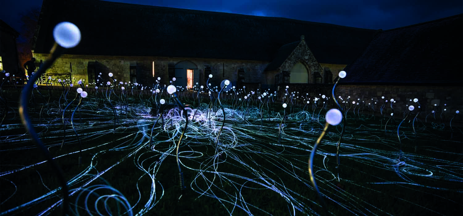 Field of Blooms, Bruce Munro