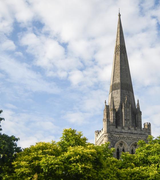 Cathedral behind the treeline